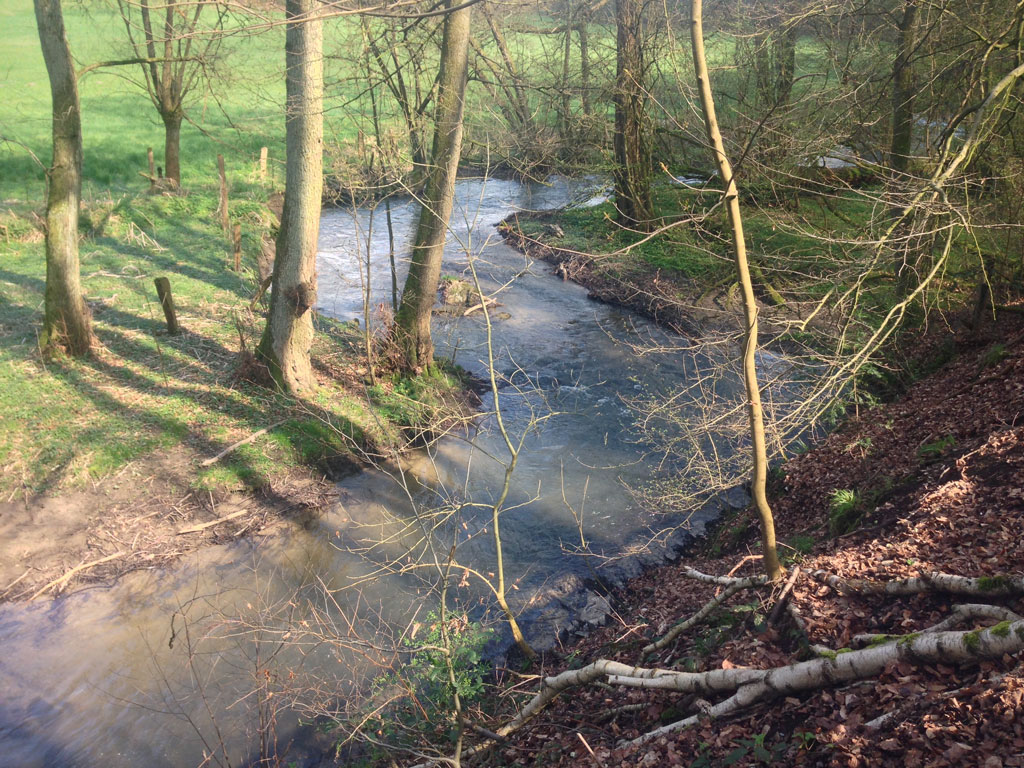curves - found @ Neandertal - © Tom Loewen | 14x3.de
